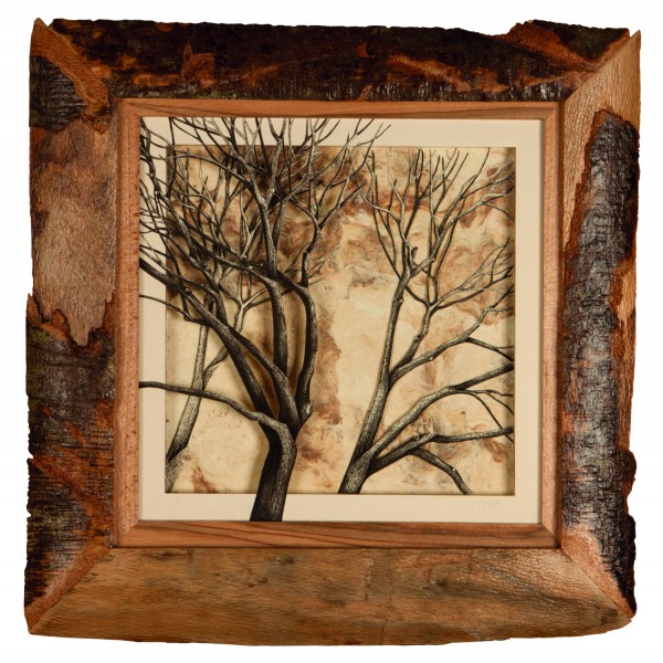 Recovery Urban Woods "Creación 22"