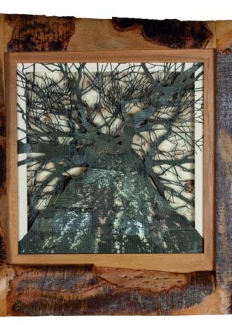 recovery-urban-woods-n11