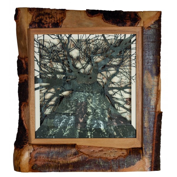 Recovery Urban Woods "Creación 21"