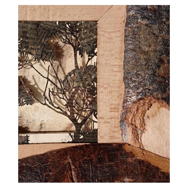 Recovery Urban Woods "Creación 20" - Imagen 2