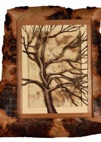 recovery-urban-woods-n13