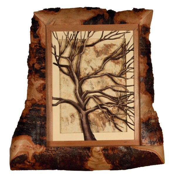 Recovery Urban Woods "Creación 20"