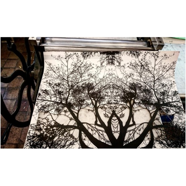 Recovery Urban Woods "Creación 19" - Imagen 2