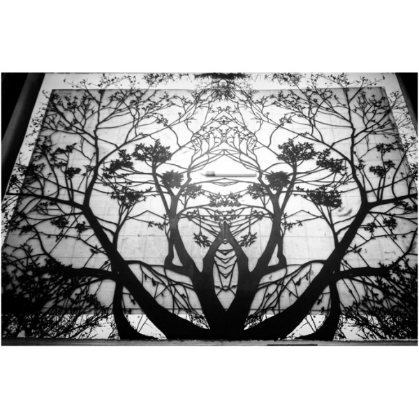 Recovery Urban Woods "Creación 19" - Imagen 3