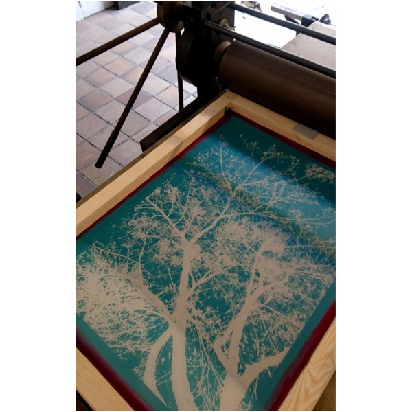 Recovery Urban Woods "Creación 18" - Imagen 2