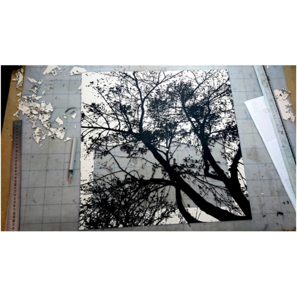 Recovery Urban Woods "Creación 18" - Imagen 3