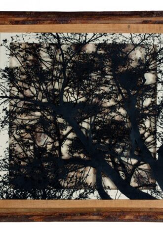 recovery-urban-woods-n15