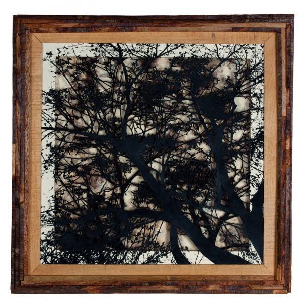 Recovery Urban Woods "Creación 18"