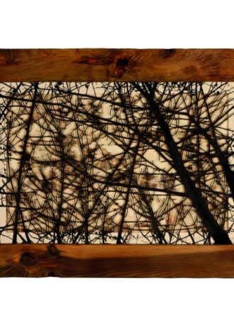 recovery-urban-woods-n18 (3)