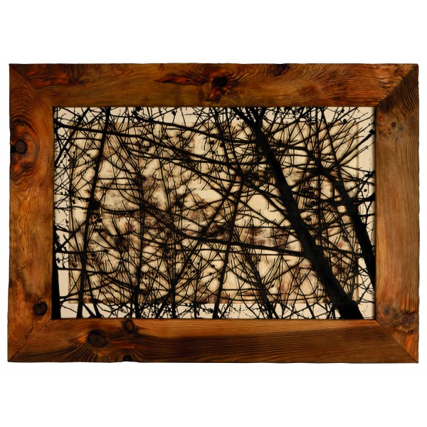 Recovery Urban Woods "Creación 17"