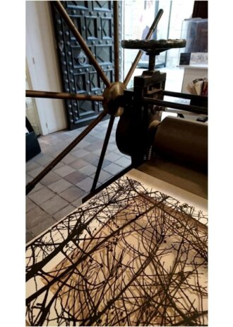 recovery-urban-woods-n18