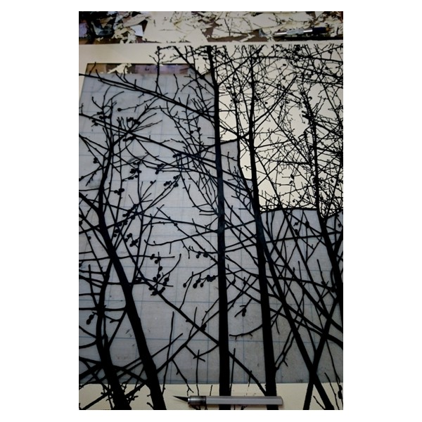 Recovery Urban Woods "Creación 12" - Imagen 5