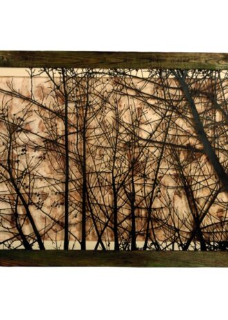 recovery-urban-woods-n26 (7)