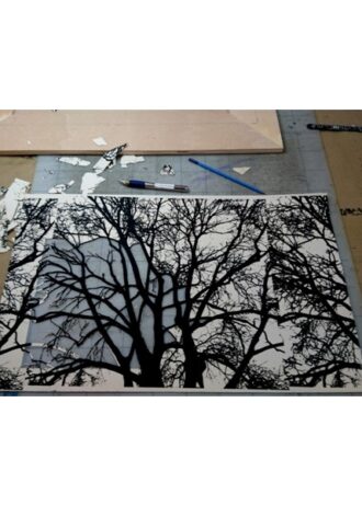 recovery-urban-woods-n33