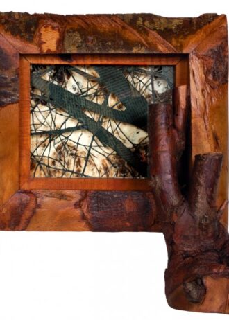 recovery-urban-woods-n40