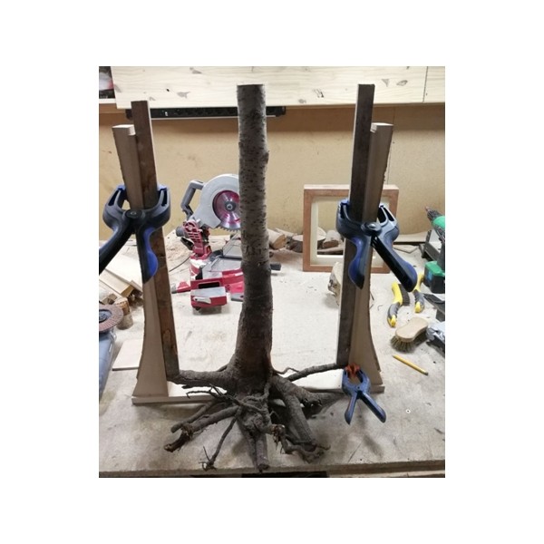 Recovery Urban Woods "Creación 3" - Imagen 6