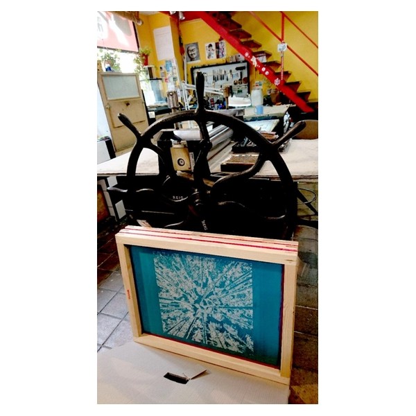 Recovery Urban Woods "Creación 23" - Imagen 2