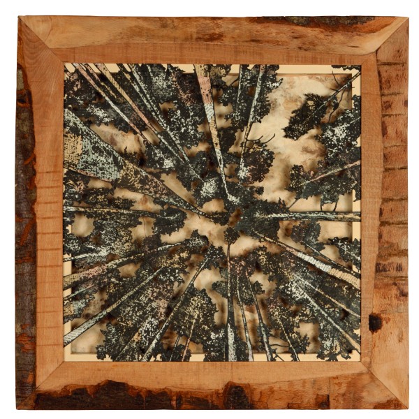 Recovery Urban Woods "Creación 23"