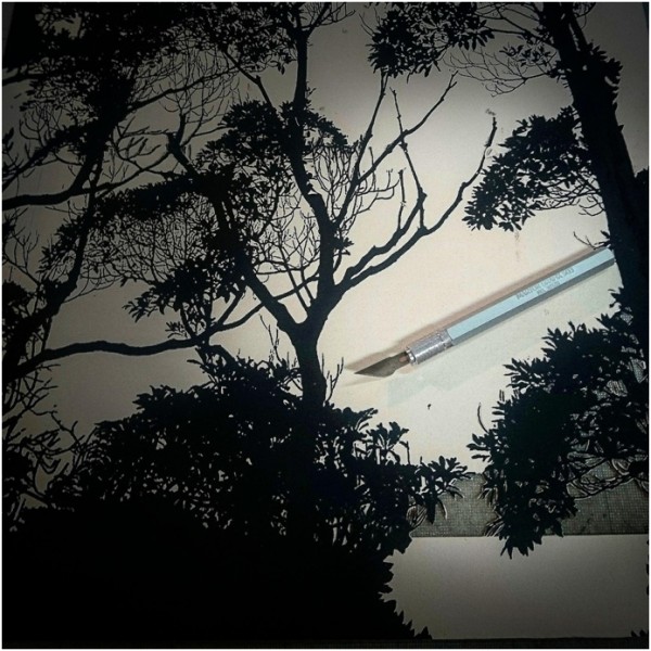 Recovery Urban Woods "Creación 16" - Imagen 4