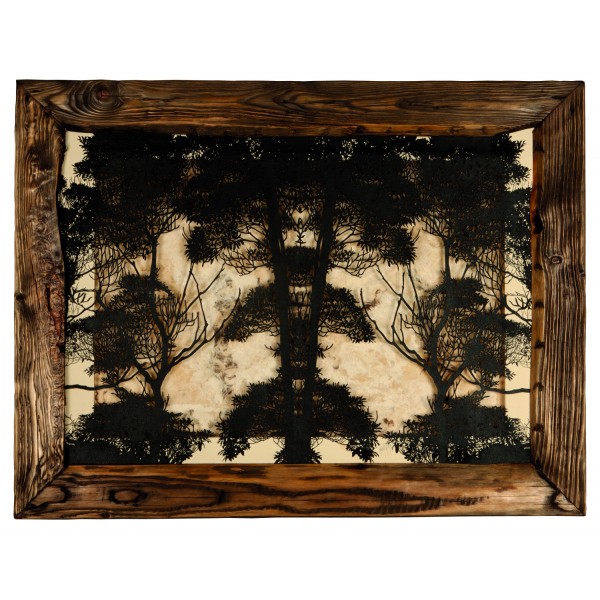 Recovery Urban Woods "Creación 16"