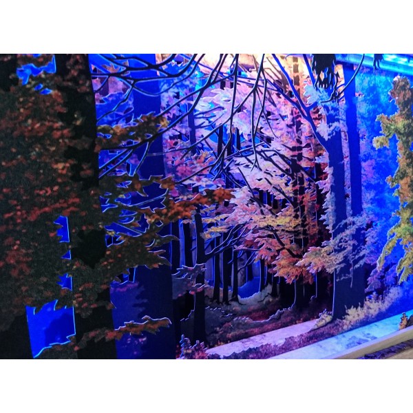 Grabado Tridimensional "Storm in the deep woods" - Imagen 11