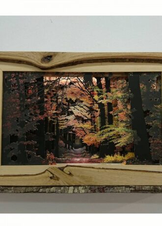storm-in-the-deep-woods (2)