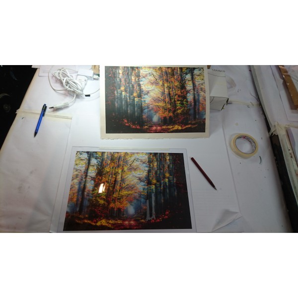 Grabado Tridimensional "Storm in the deep woods" - Imagen 6