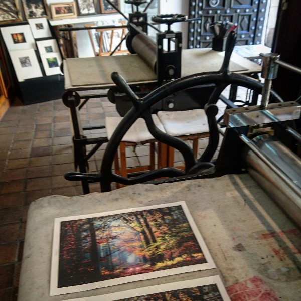 Grabado Tridimensional "Storm in the deep woods" - Imagen 7