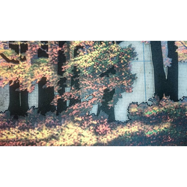 Grabado Tridimensional "Storm in the deep woods" - Imagen 9