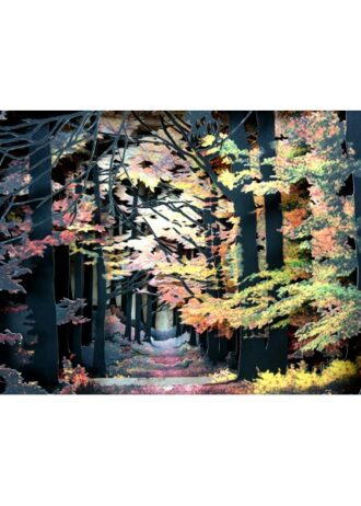 storm-in-the-deep-woods