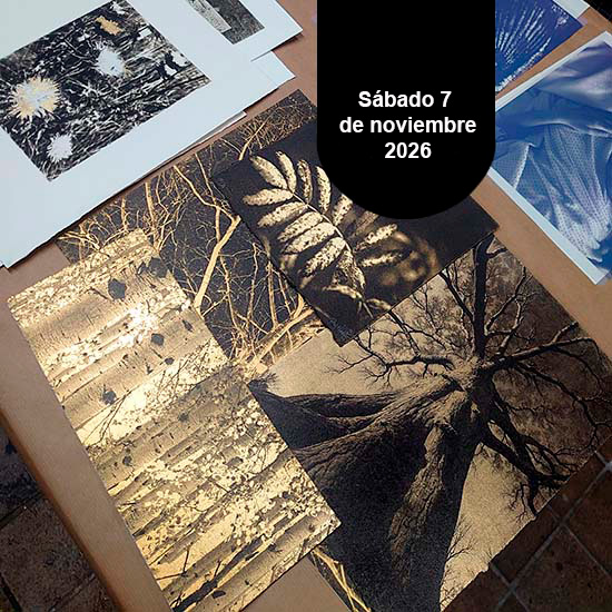 Curso: Aplicación de Pan de Oro en la Estampa Contemporánea - Imagen 2
