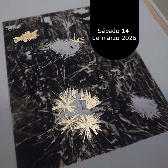 Curso: Aplicación de Pan de Oro en la Estampa Contemporánea - Imagen 2