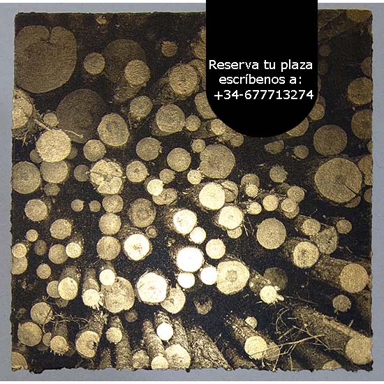 Curso: Aplicación de Pan de Oro en la Estampa Contemporánea - Imagen 11