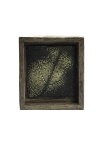 Aurea Umbra – «Creación 10»