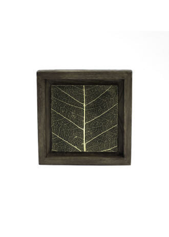 Aurea Umbra – Creación