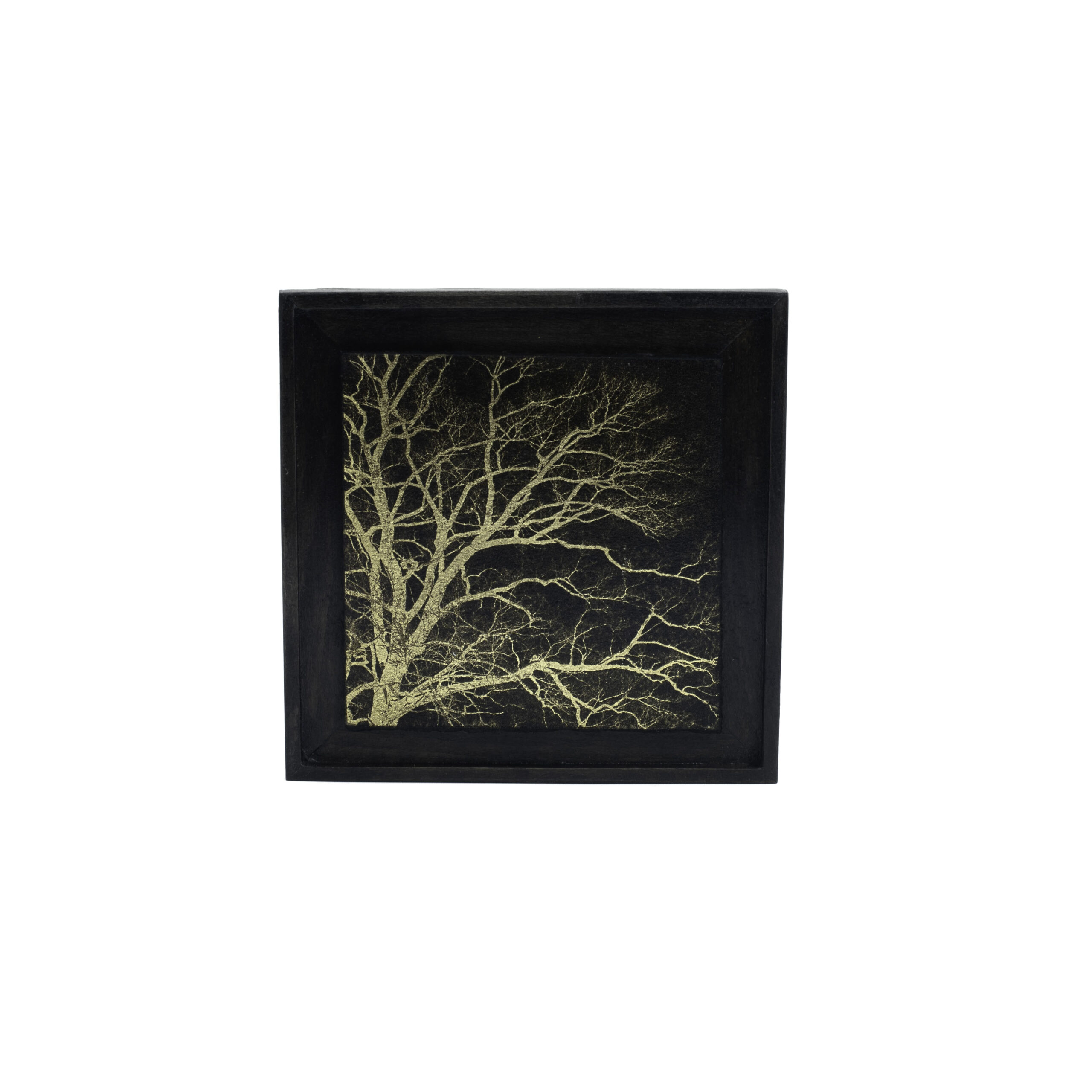 Aurea Umbra "Creación 2"