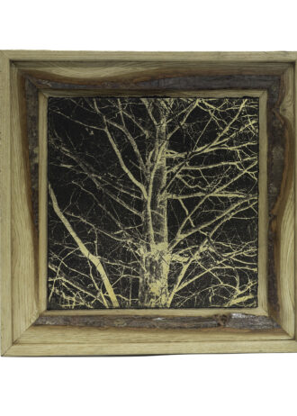 Aurea Umbra – Creación