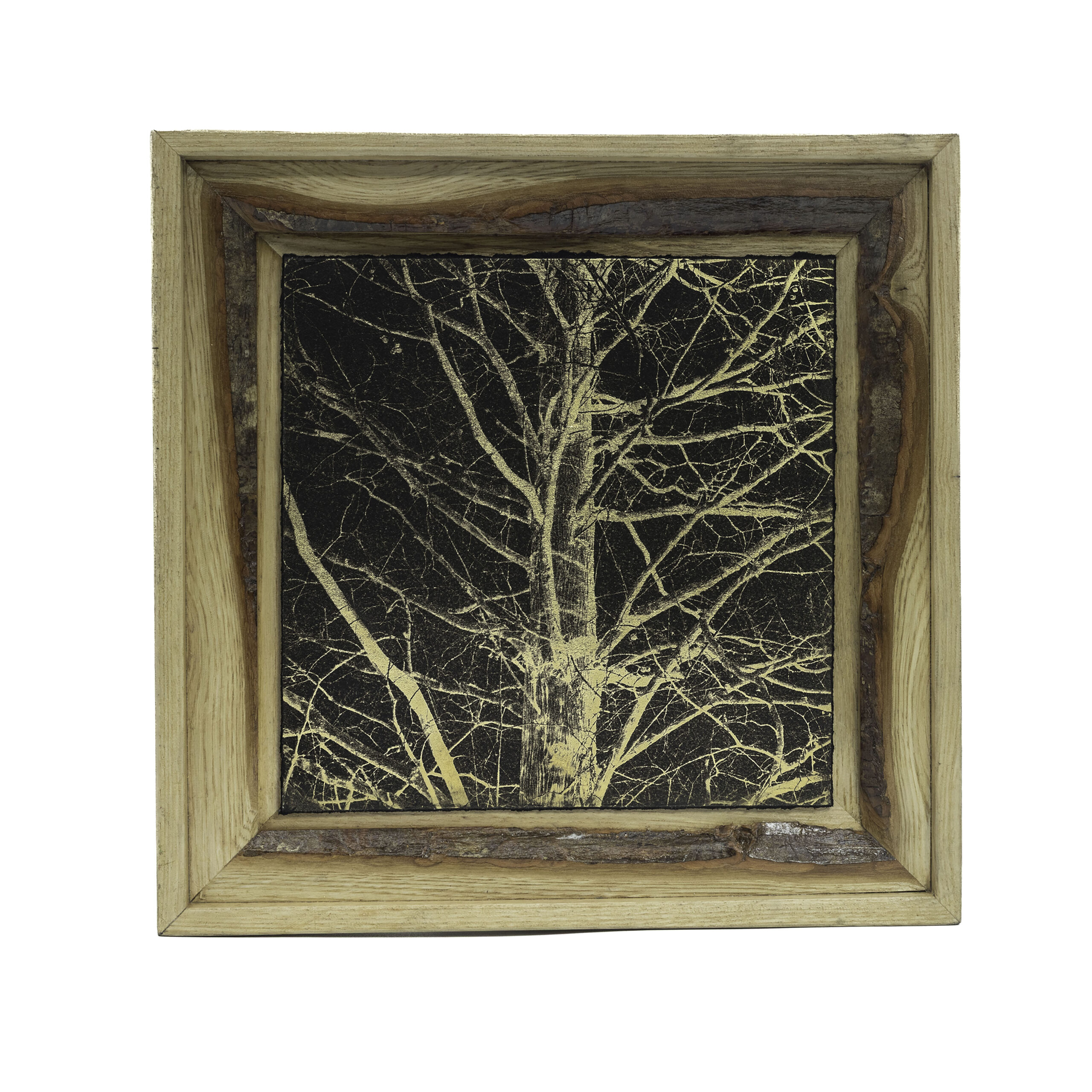 Aurea Umbra «Creación 20»