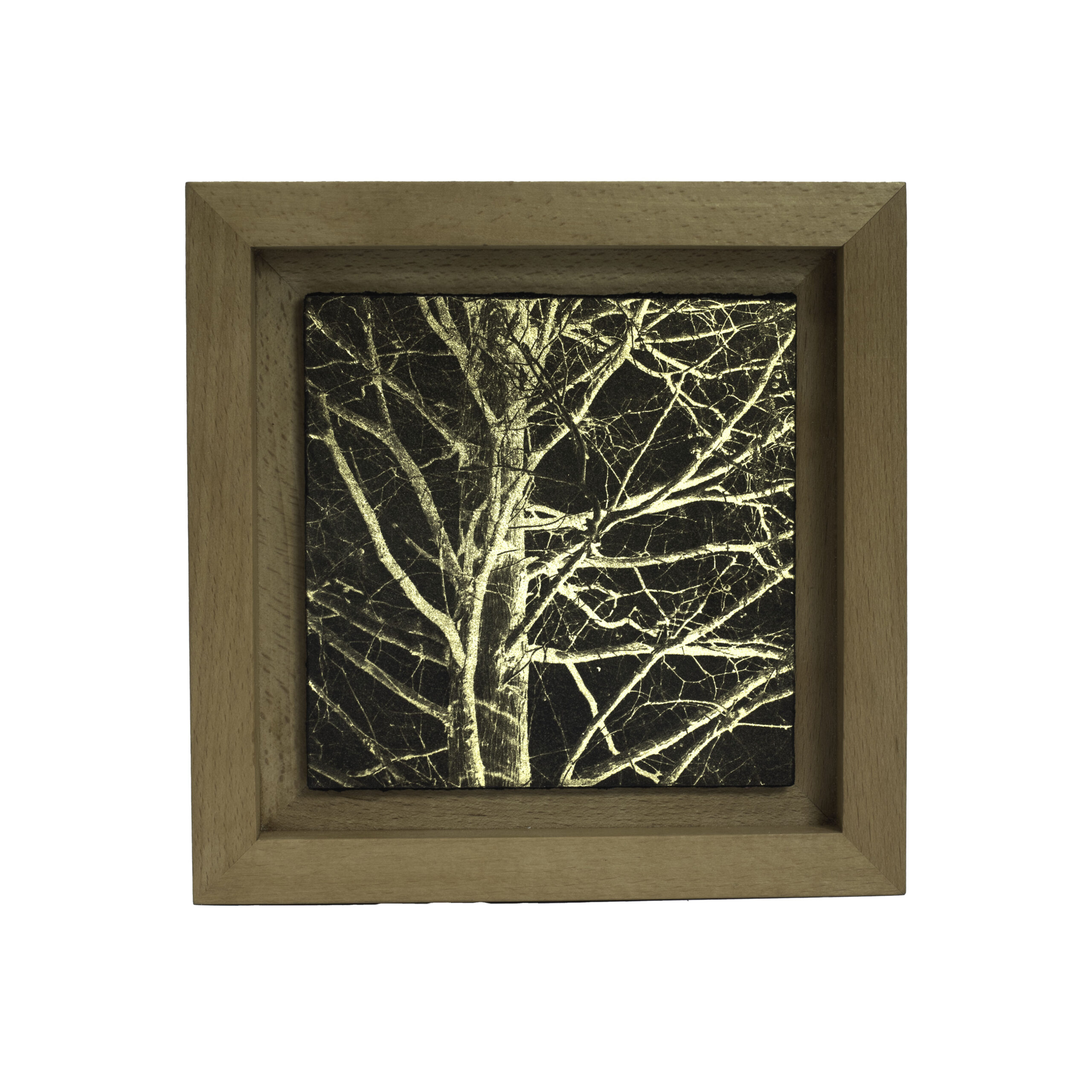 Aurea Umbra "Creación 4"