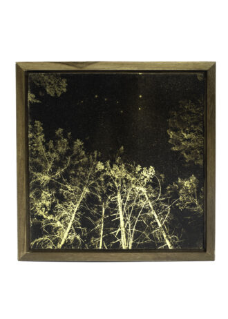 Aurea Umbra – Creación