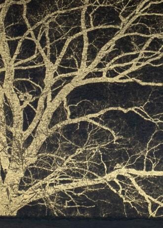 Aurea Umbra – «Creación 2»