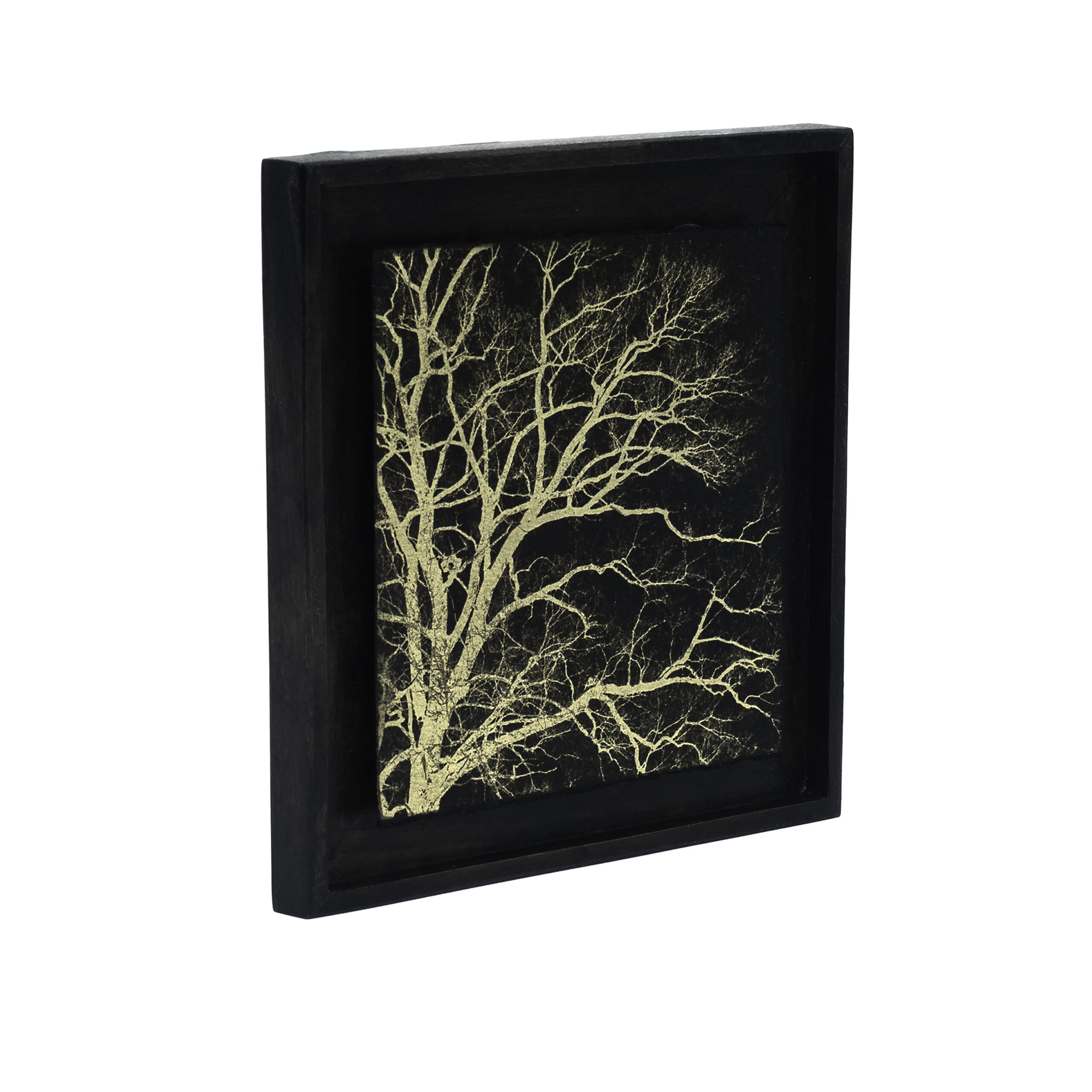 Aurea Umbra "Creación 2" - Imagen 5