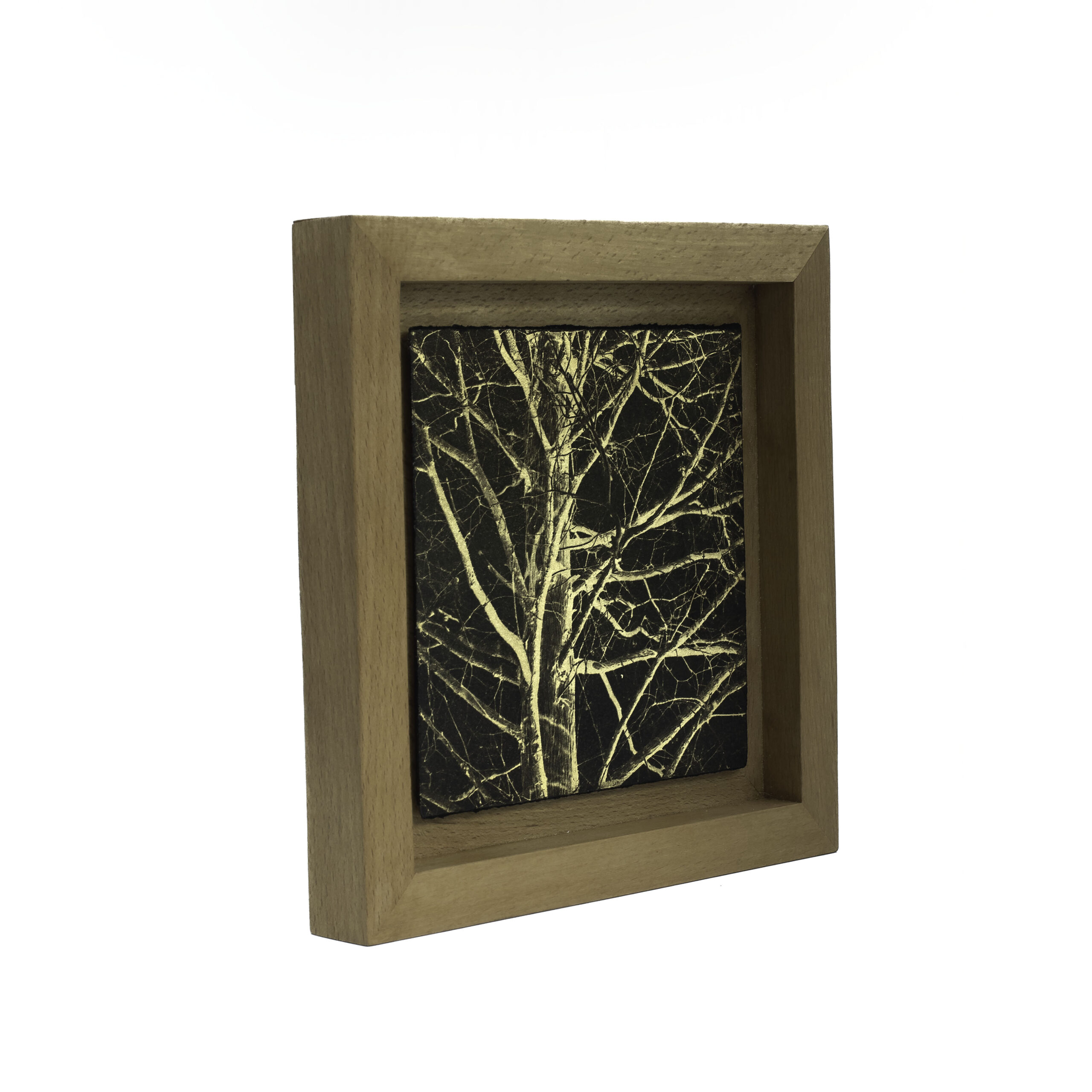 Aurea Umbra "Creación 4" - Imagen 2