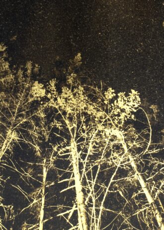 Aurea Umbra – «Creación 6»