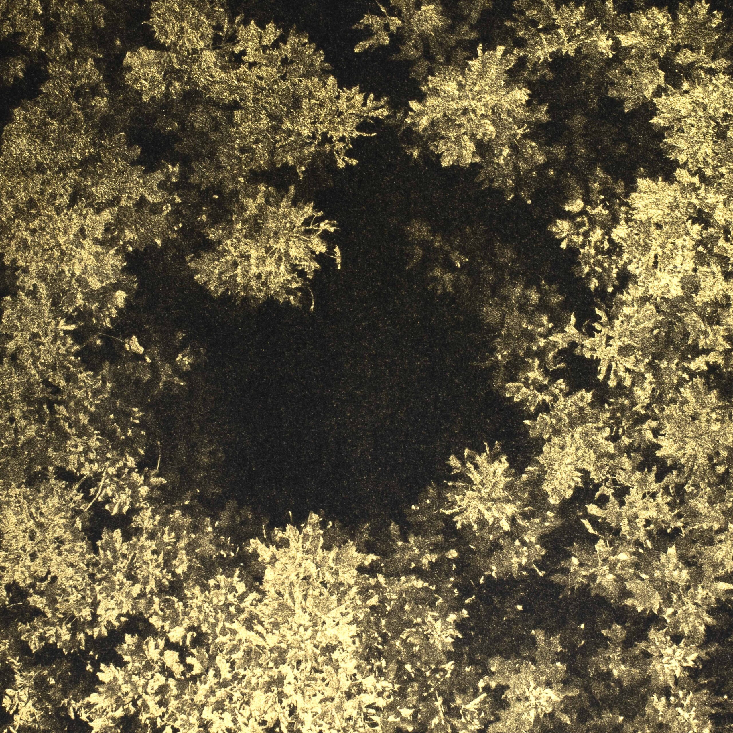 Aurea Umbra "Creación 7" - Imagen 5