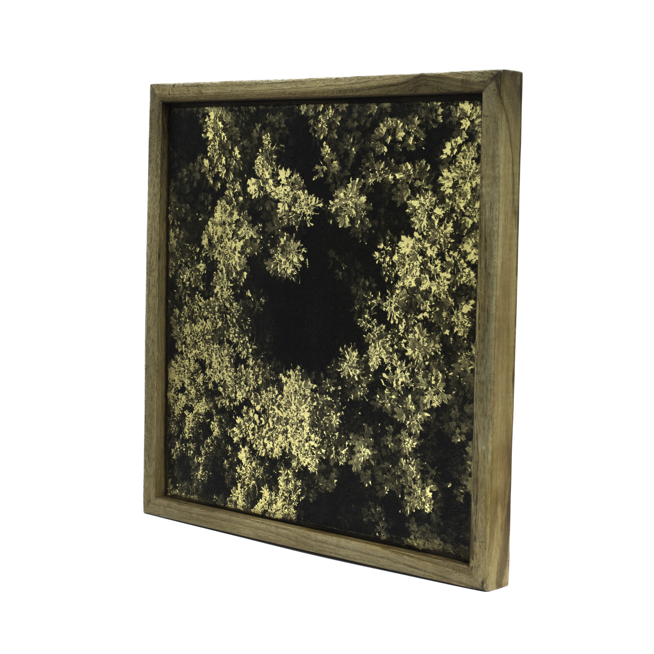 Aurea Umbra "Creación 7" - Imagen 2