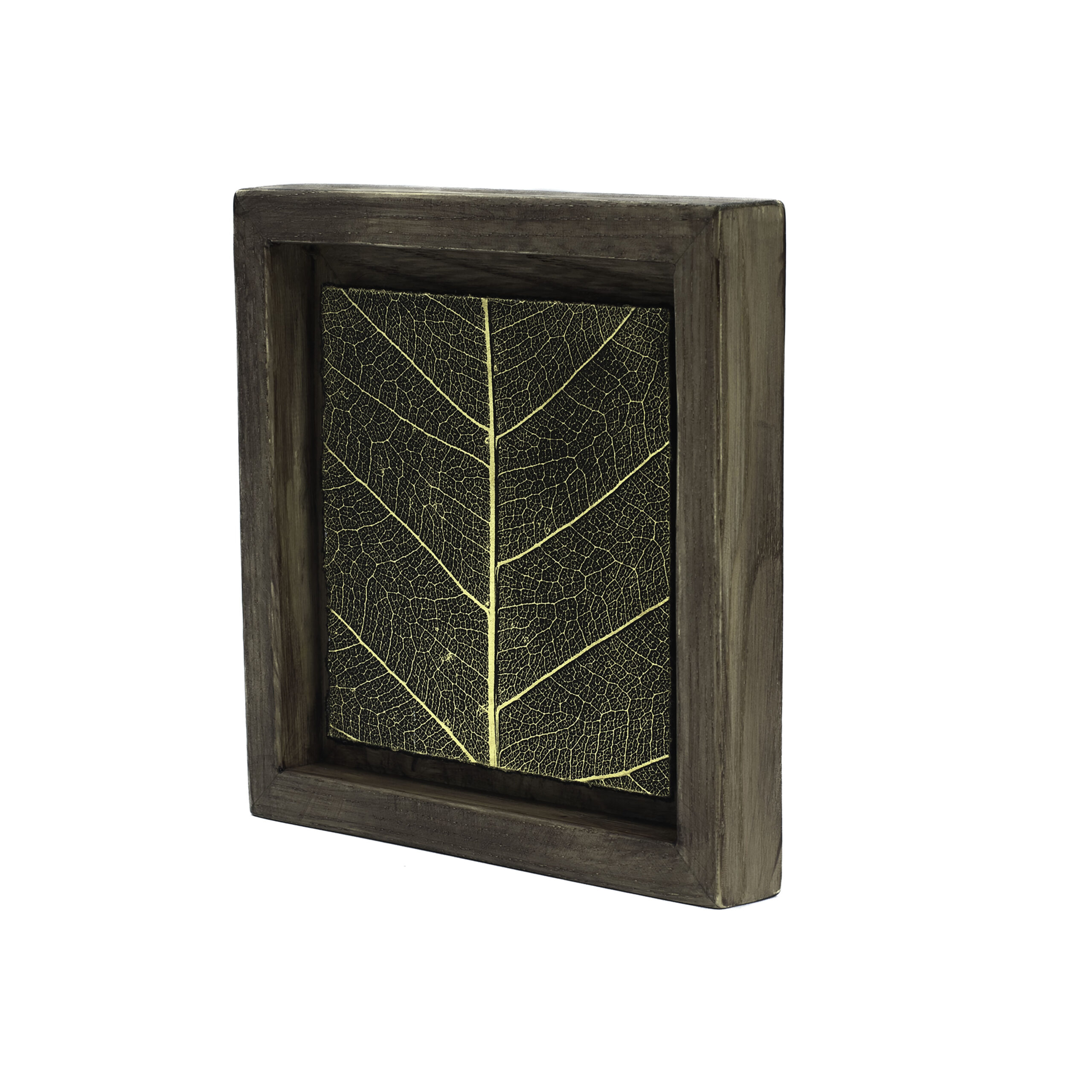 Aurea Umbra "Creación 11" - Imagen 3
