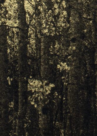 Aurea Umbra – «Creación 15»