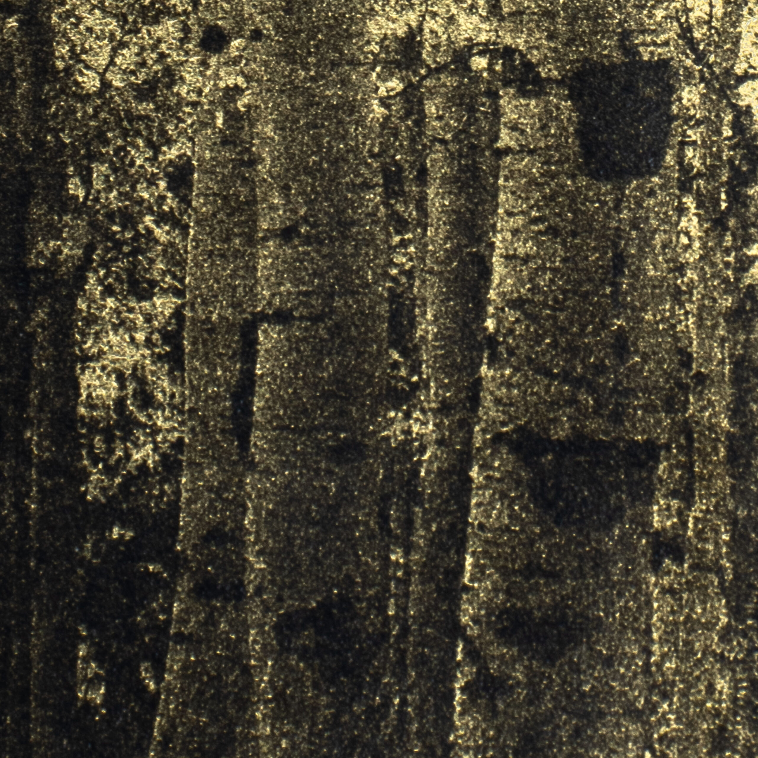 Aurea Umbra "Creación 15" - Imagen 5