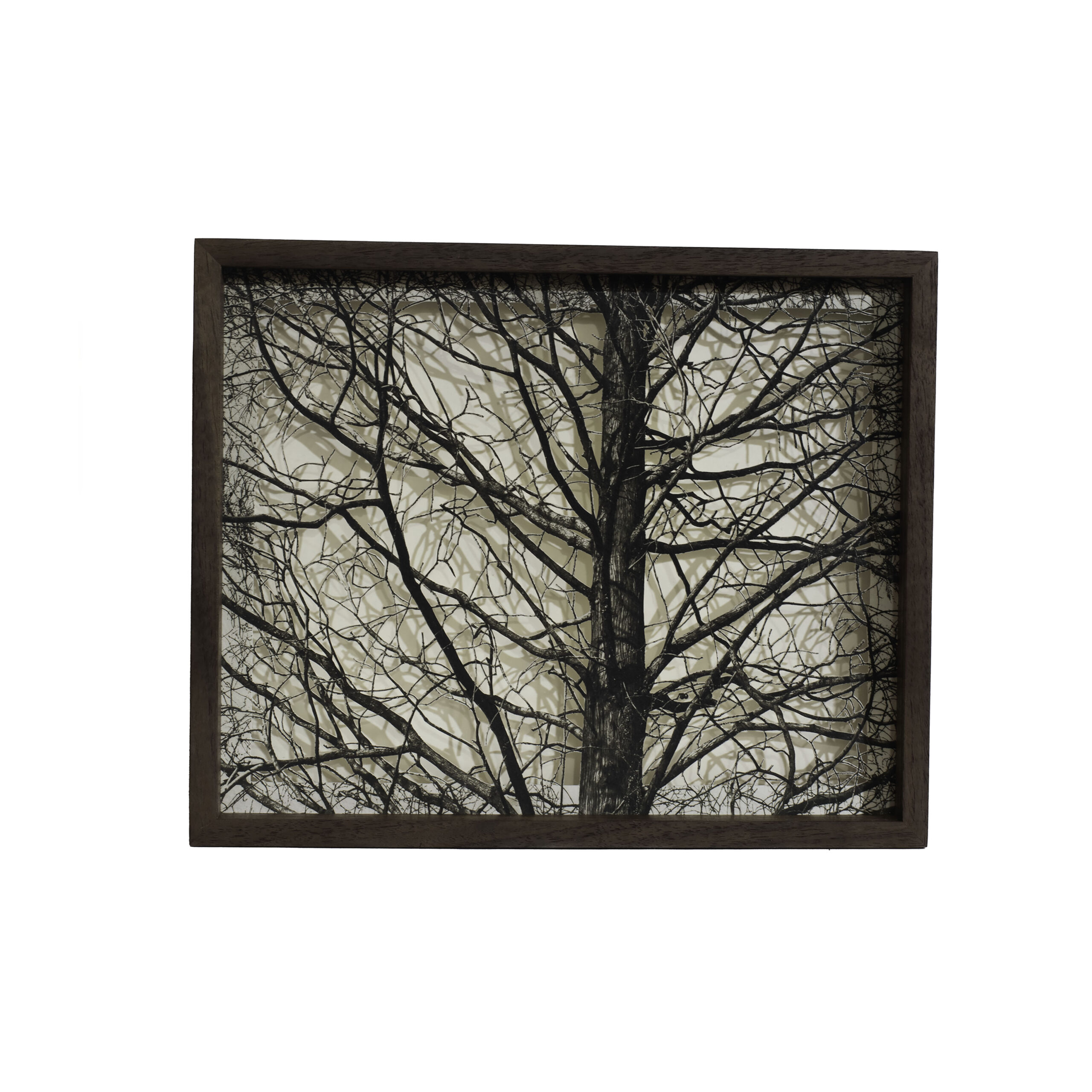 Grabado Tridimensional «Creación 0.4»